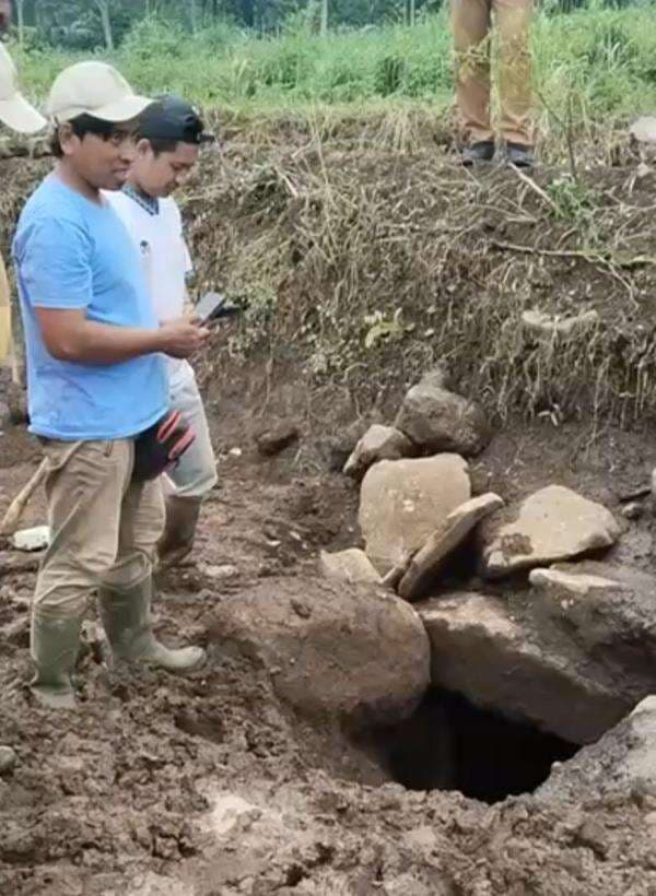 Megalitik Kubur Lempeng Batu Zaman Prasejarah Ditemukan Warga Saat Membajak Sawah