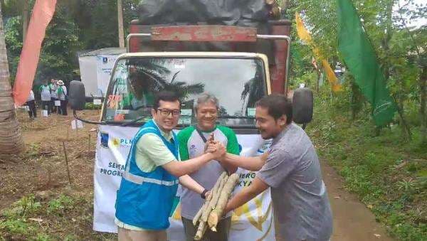 Pengembangan Ekosistem Biomassa Kerakyatan, PLTU Labuan Bersama  PT ADCI Tanam dan Panen Kayu Gamal