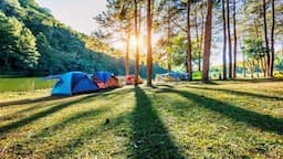 Tempat Sewa Alat Camping di Purwokerto, Pilihan Lengkap Liburan di Alam Terbuka