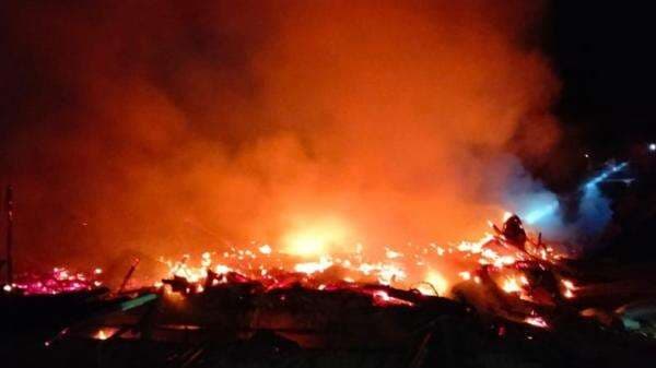 Kandang Terbakar  11.000 Ekor Ayam Mati Terpanggang