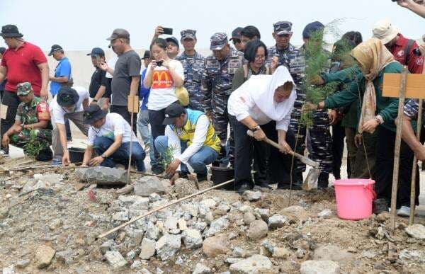 Minimalisir Rob dan Banjir, Pemkot Semarang Tanam 400 Bibit Tanaman di Area Sheet Pile Tambakmulyo