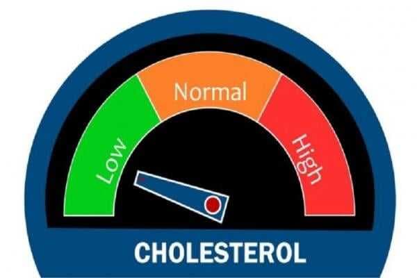 6 Makanan dan Minuman Ini Ampuh Turunkan Kolesterol Jahat