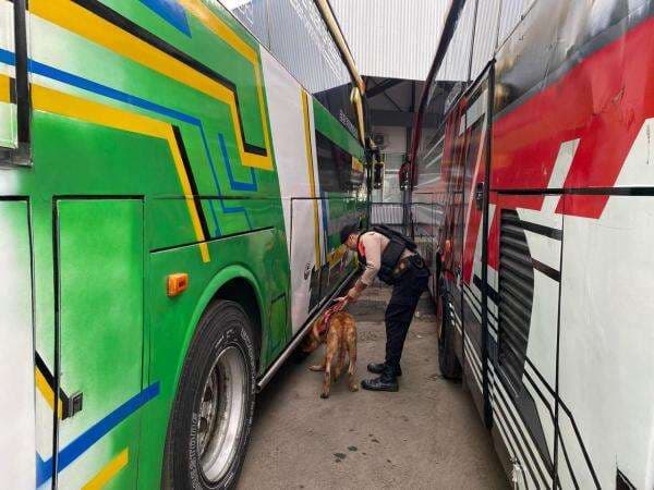 Hadapi Puncak Arus Balik, Polres Pemalang Kerahkan Anjing K-9 Sterilisasi Stasiun dan Terminal Hadapi Puncak Arus Balik, Polres Pemalang Kerahkan Anjing K-9 Sterilisasi Stasiun dan Terminal