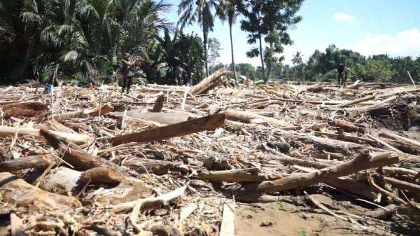 Bupati Aceh Tamiang Minta Fatwa soal Penggunaan Kayu Gelondongan: Ini Perlu Penegasan! Bupati Aceh Tamiang Minta Fatwa soal Penggunaan Kayu Gelondongan: Ini Perlu Penegasan!
