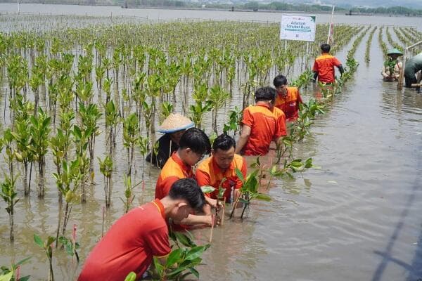 Peringati Hari Bumi 2025, Alfamart Tanam 20.000 Mangrove di Pesisir Semarang Peringati Hari Bumi 2025, Alfamart Tanam 20.000 Mangrove di Pesisir Semarang