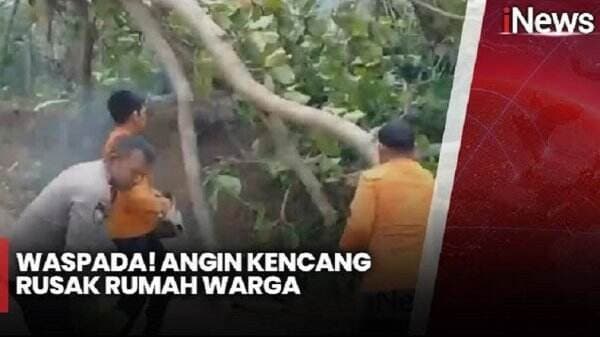 Penampakan Kerusakan Dampak Angin Kencang di Bandarlampung, 7 Pohon Tumbang