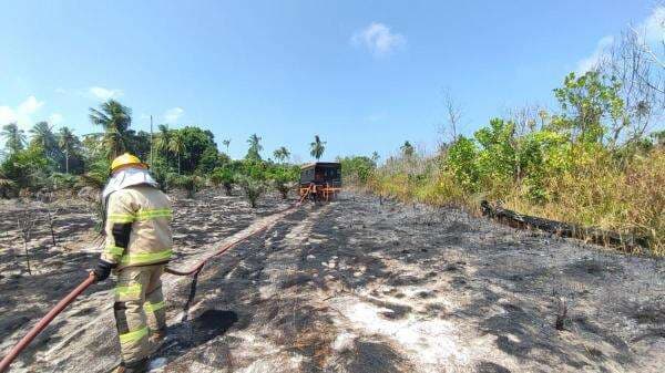 Karhutla Terjadi di Riau, 3,25 Hektare Lahan Terbakar
