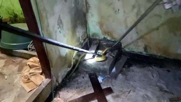 Ngeri, Ular King Kobra Masuk Rumah Warga saat Penghuninya Sedang Beraktifitas di Dapur