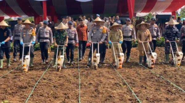 Dukung Ketahanan Pangan, Kapolda Banten Sulap 23 Hektar Lahan Tidur Jadi Ladang Jagung