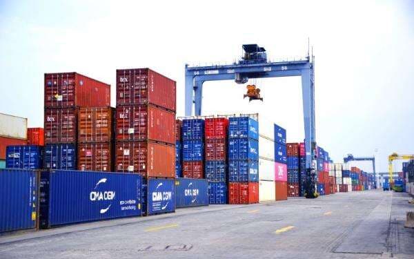 Tarif Angkutan Laut Tekan Kinerja, Laba PPGL Merosot 57,6 Persen