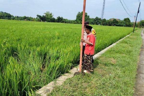 Warga Desa Curug Tegowanu Ditemukan Meninggal Tercebur di Sawah Bersama Sepeda Motornya