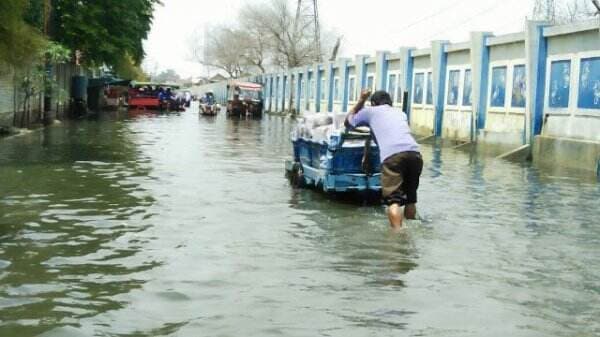 Detik-Detik Menegangkan Banjir Rob Terjang Perumahan Warga di Jakarta Utara