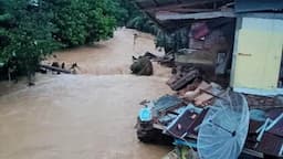 BNPB: 1.756 Bencana Melanda RI sejak 1 Januari-16 November 2024, Paling Banyak Banjir