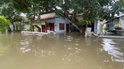 Banjir Rendam Ratusan Rumah di Jombang, Ketinggian Air hingga Sepinggang Orang Dewasa