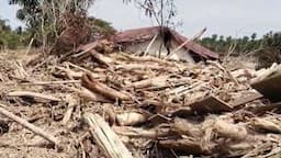 Puluhan Rumah di Bireuen Hancur Diterjang Banjir dan Tertimbun Kayu Gelondongan