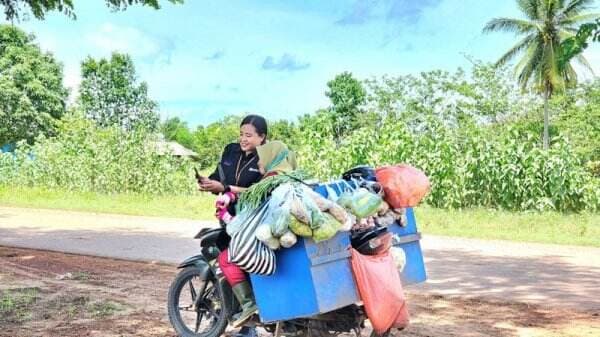 Kisah Petani di Merauke, Produktivitas Semakin Meningkat bersama BRI