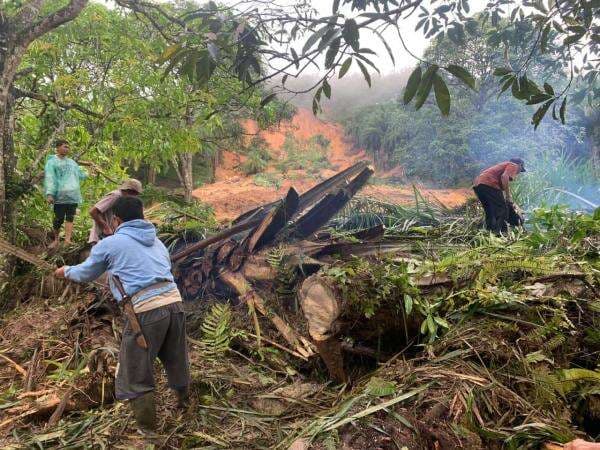 Empat Warga Tewas Akibat Longsor di Padang Lawas