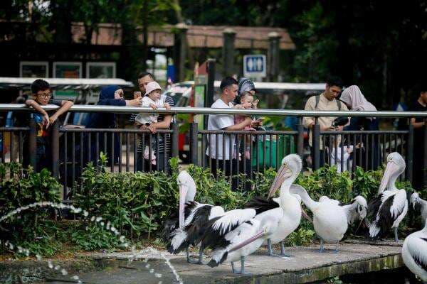 Puncak Libur Nataru, Pengunjung Ragunan Diprediksi Tembus 100.000 Orang