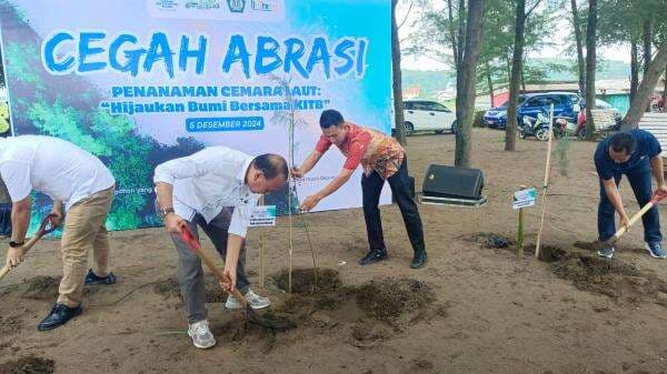 Cegah Abrasi, Pantai Jodo Gringsing Batang Ditanami Ribuan Cemara Laut