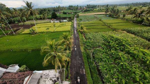 Tanggapi Keluhan Warga, Sejumlah Titik Jalan Rusak di Lumajang Segera Diperbaiki Tanggapi Keluhan Warga, Sejumlah Titik Jalan Rusak di Lumajang Segera Diperbaiki