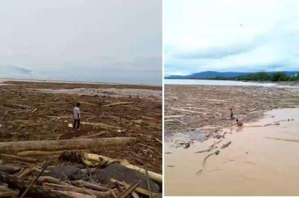 Viral Penampakan Gelondongan Kayu usai Banjir Bandang di Pantai Padang, Punya Siapa?