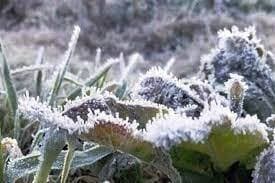 Lonjakan Dingin Asia Meningkat saat Natal 2025, Picu Hujan Sedang-Lebat