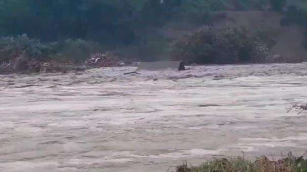 Aceh Barat Waspada Banjir Susulan, Hujan Deras Rendam 15 Gampong Setengah Meter