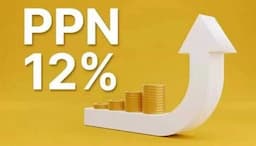 Ini Jenis Barang yang Kena PPN 12 Persen Mulai Januari 2025