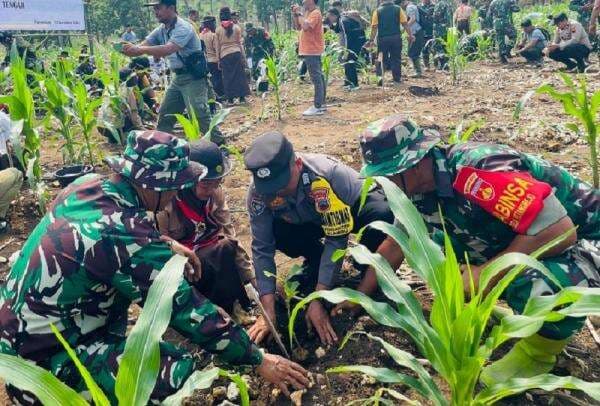 Perhutani KPH Purwodadi Lakukan Penanaman Tanaman 2024, Upaya Cegah Bencan Banjir