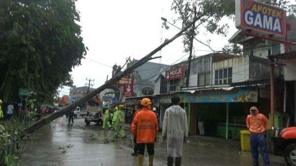 Cuaca Ekstrem Landa Cilegon, 2 Pohon Besar Tumbang Timpa Kabel Listrik