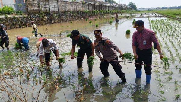 Dukung Asta Cita, Lahan Produktif di Batang Dioptimalkan 