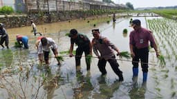 Dukung Asta Cita, Lahan Produktif di Batang Dioptimalkan 