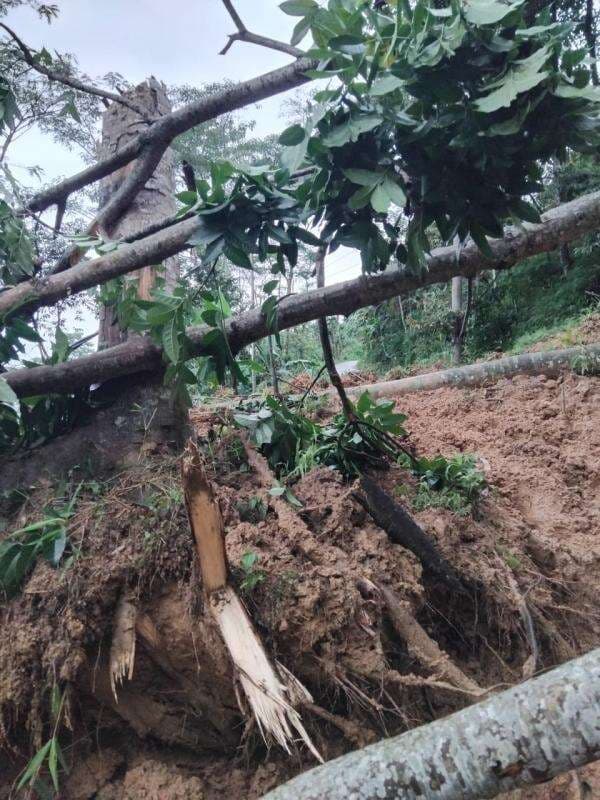 Longsor di Kandangserang Tutup Akses Jalan Karanggondang Menuju ke Bodas dan Klesem