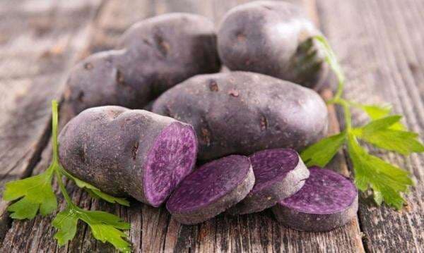 Ubi Lebih Baik Dimakan saat Pagi dan Siang, Ini Alasannya