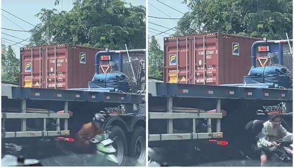 Viral Pemotor Nekat Terobos Kolong Truk Kontainer saat Macet, Netizen: Kalau Maju Auto Jadi Peyek Viral Pemotor Nekat Terobos Kolong Truk Kontainer saat Macet, Netizen: Kalau Maju Auto Jadi Peyek