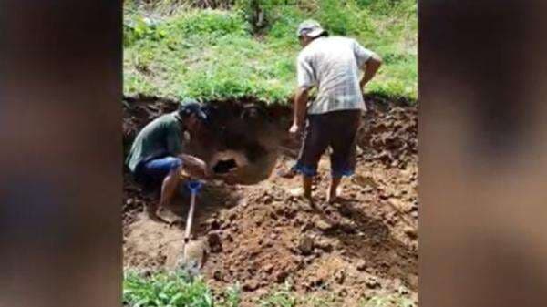 Warga Kepahiang Dikejutkan Penemuan Guci Tua Berisi 3 Tengkorak Manusia saat Cangkul Lahan