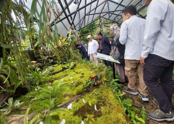 Di Rumah Kaca Nepenthes Kebun Raya Cibodas Ternyata Ada 80 Jenis Koleksi Tanaman Jenis Kantong Semar