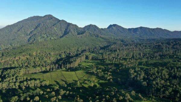 Pembangunan Eiger Camp Dekat Tangkuban Perahu Diklaim Sesuai Aturan