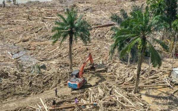 KLH Gugat Perdata Rp4,8 Triliun ke 6 Perusahaan Terkait Banjir Bandang Sumatera
