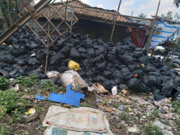 Limbah B3 Medis di Dekat Sawah, Pegiat Lingkungan Minta Dinkes Uji Lab Hasil Pertanian Karangligar Limbah B3 Medis di Dekat Sawah, Pegiat Lingkungan Minta Dinkes Uji Lab Hasil Pertanian Karangligar