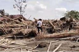 Bak Kota Mati, Desa di Bireun Aceh Lumpuh Tertimbun Kayu Gelondongan usai Banjir