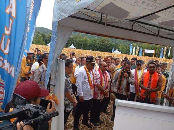 Panen Raya Jagung di Manggarai Timur: Dorong Swasembada dan Kemandirian Pangan Panen Raya Jagung di Manggarai Timur: Dorong Swasembada dan Kemandirian Pangan