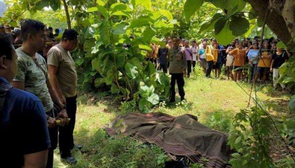 Warga Kupang Digegerkan Penemuan Mayat Mahasiswa Asal Sumba Tengah Menggantung di Pohon Jati