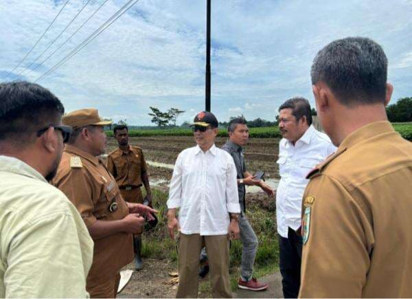 Lampung Tengah Jadi Poros Cetak Sawah, Kementan Pacu Swasembada Pangan Nasional