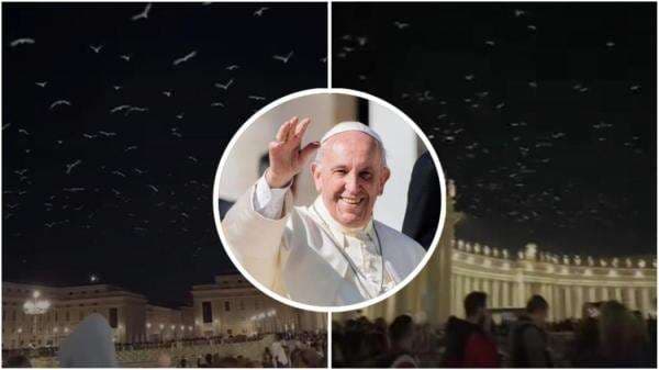 Viral Ratusan Burung Terbang di Atas Kediaman Paus Fransiskus Jelang Pemakaman, Dianggap Beri Salam Viral Ratusan Burung Terbang di Atas Kediaman Paus Fransiskus Jelang Pemakaman, Dianggap Beri Salam