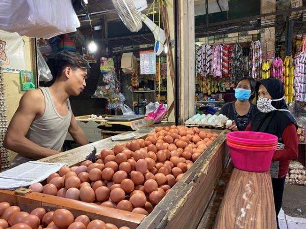 Bapanas Pastikan Stok Telur Ayam Aman hingga Lebaran 2026