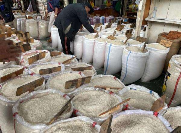 Daftar Harga Pangan 16 Januari 2026: Beras hingga Cabai-Bawang Turun, Daging Sapi Naik