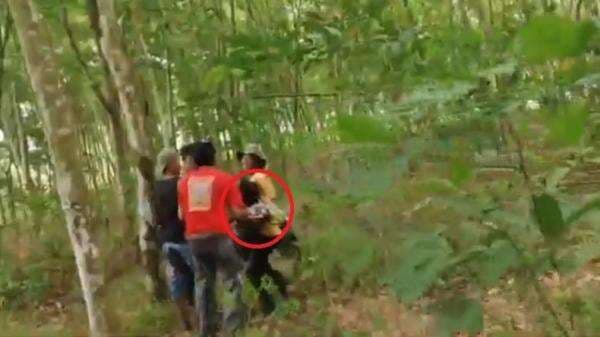 Tragis! Kepala Desa di Lampung Timur Tewas Terinjak Kawanan Gajah Liar Tragis! Kepala Desa di Lampung Timur Tewas Terinjak Kawanan Gajah Liar