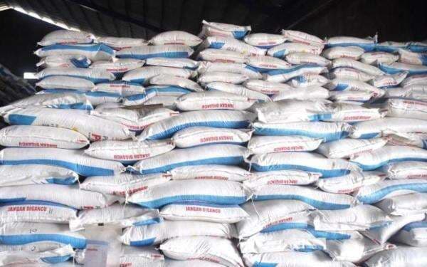 Kabar Baik Buat Petani, Pupuk Subsidi Bisa Ditebus Mulai 1 Januari 2026 Kabar Baik Buat Petani, Pupuk Subsidi Bisa Ditebus Mulai 1 Januari 2026