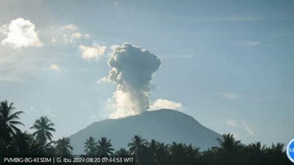 Gunung Ibu Erupsi Pagi Ini, Luncurkan Abu Vulkanik 800 Meter